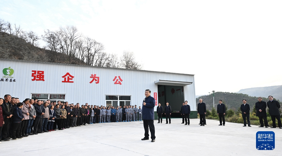 图片12 图片12